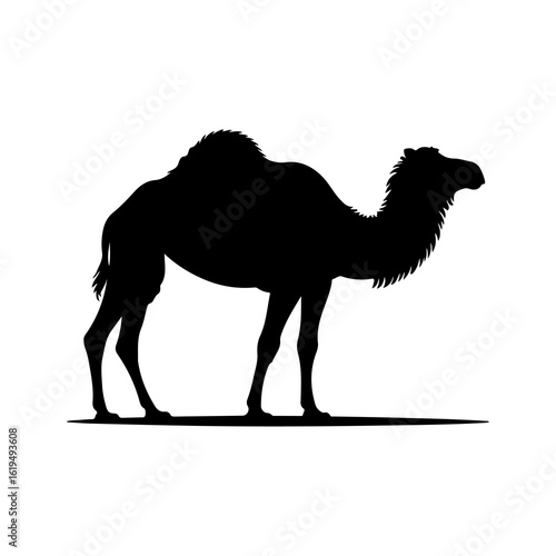 black Camel silhouette illustration