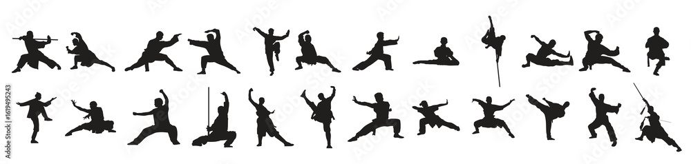 Fototapeta premium illustration of kung fu s martial arts vector set