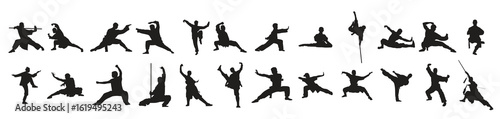 illustration of kung fu s martial arts vector set