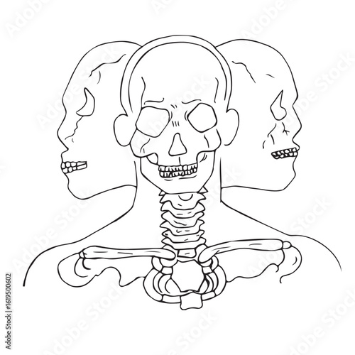 Science of hand drawn vector human skeleton Synovial joints outline.