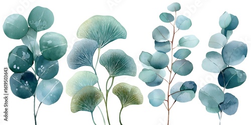 Watercolor eucalyptus leaves clipart set, soft blue and green tones, simple, white background,