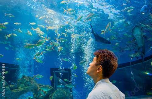 Tablou pe pânză Man Looking Up at Schools of Fish in Large Public Aquarium