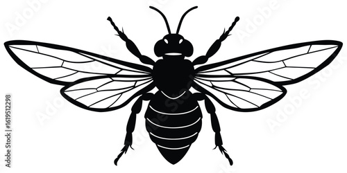 Black silhouette of a wasp with detailed wings and segmented body on white background