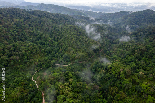 Landscape of Morning Mist with Mountain Layer. mountain ridge and clouds in rural jungle bush forest