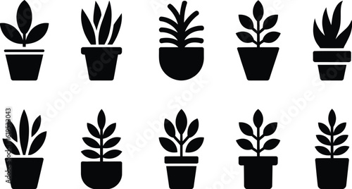 A collection of ten potted plant icons in black silhouette on a white background