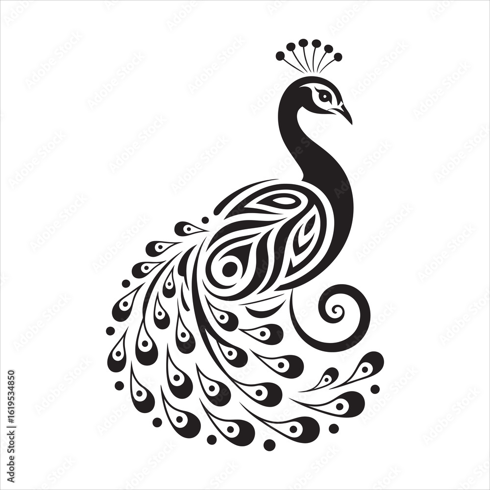 Fototapeta premium black and white peacock