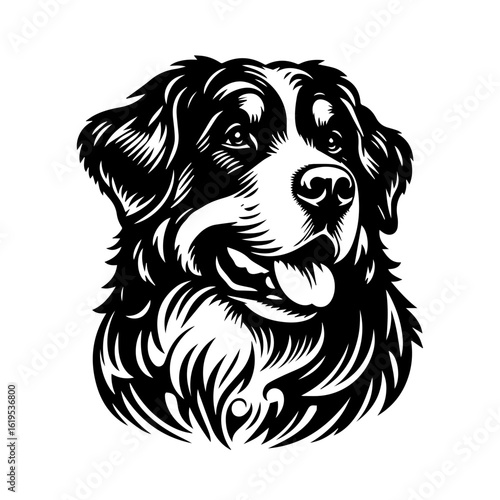 Bernese Mountain Dog Portrait Black and White 1.