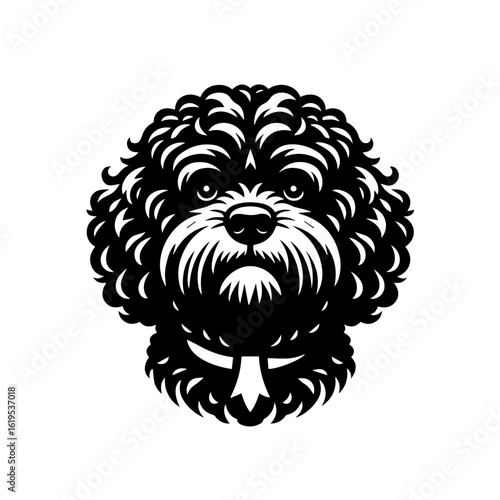 Black and White Curly Haired Dog Portrait.