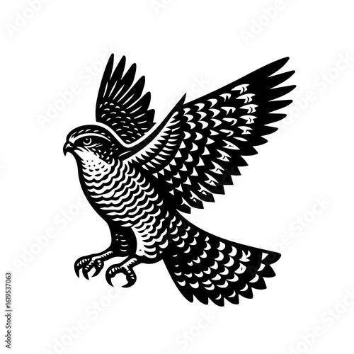 Black and White Falcon in Flight.