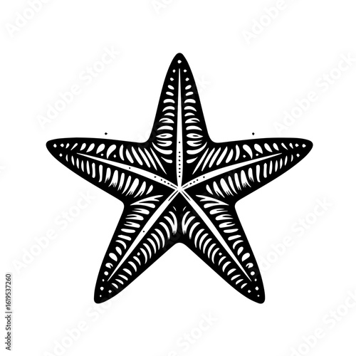Black and White Starfish Illustration.