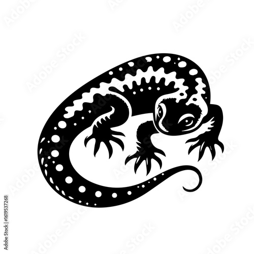 Black and White Spotted Salamander Illustration.