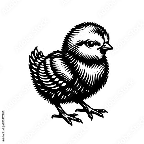 Black and White Stylized Chick Illustration.