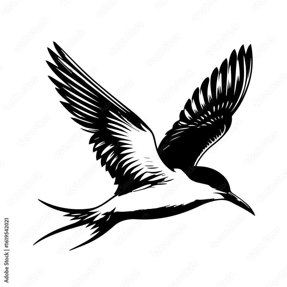 Obraz premium Stylized Black and White Tern in Flight.