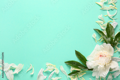 White peony flower with gre...