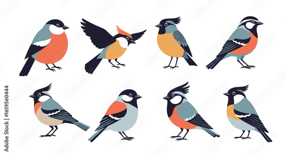 Naklejka premium Adobe Illustrator Artwork