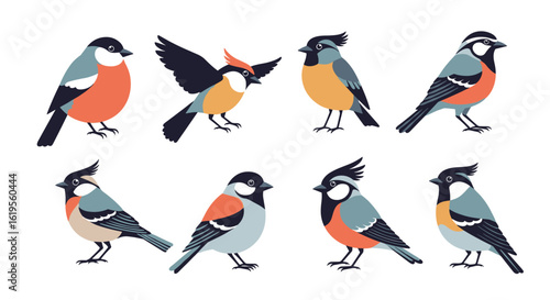 Adobe Illustrator Artwork