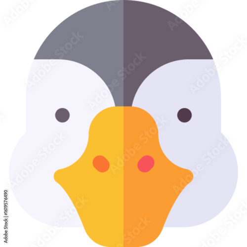 Pond Duck Bird