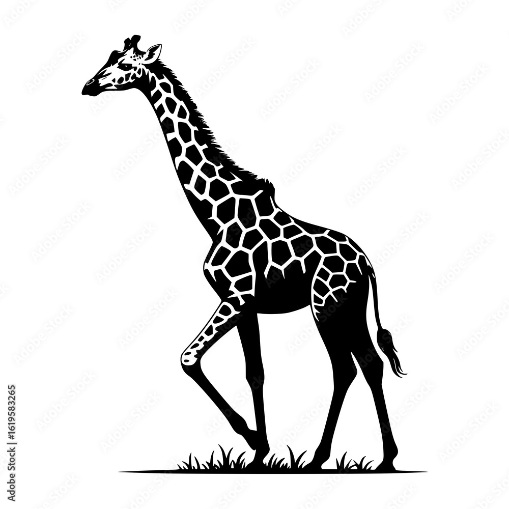 Naklejka premium Elegant Giraffe Silhouette: A striking monochrome line art illustration showcases a graceful giraffe strolling in a grassy savanna, its intricate pattern and long neck elegantly depicted.
