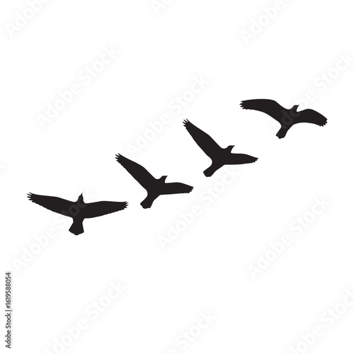 Collection of birds flying silhouette 