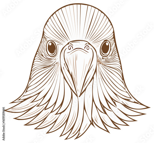 Majestic eagle head staring forward in a detailed line art illustration. Portrait of a bird of prey.