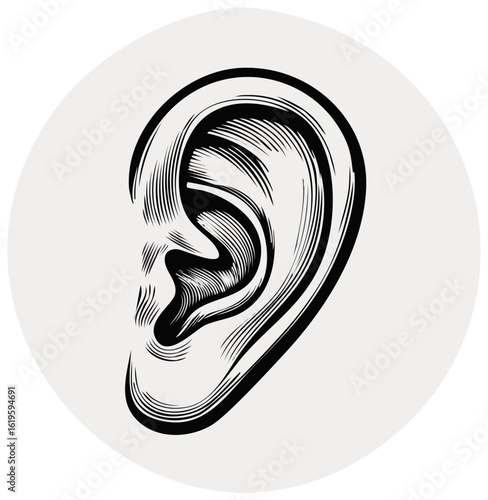 Detailed Engraved Human Ear Illustration for Auditory Focus and Hearing Concepts