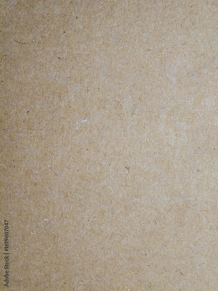 Fototapeta premium Brown recycled paper texture background