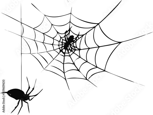 A scary black arachnid in its intricate cobweb, a silhouette of nature's dangerous insect trap