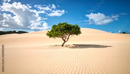 Fototapeta Naklejka Na Ścianę i Meble -  Lonely tree in vast dunes