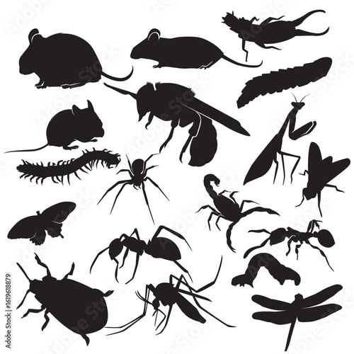 A clean and detailed silhouette illustration of an insect, designed in a vector style. The image captures the general shape and features of an insect, making it suitable for a variety of design,