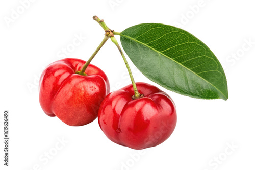 Two ripe acerola cherries with green leaf isolated on transparent background
