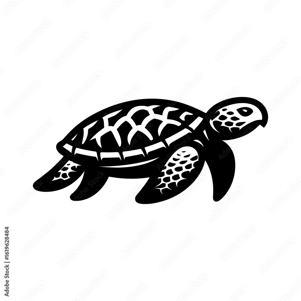 Fototapeta premium Sleek Turtle Design for Sale
