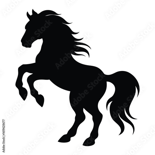 horse silhouette isolated on white