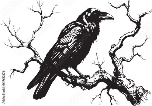 Mystical Raven on a Bare Branch"