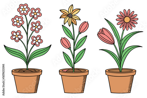 Three flowers of various pink and yellow colors are planted in terracotta pots