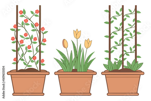 Potted red rose vines, yellow tulips, and green vines are displayed against transparency