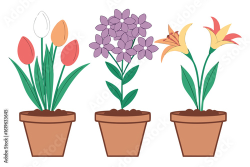 Colorful potted plants showcase various floral species against a transparent background beautifully and creatively