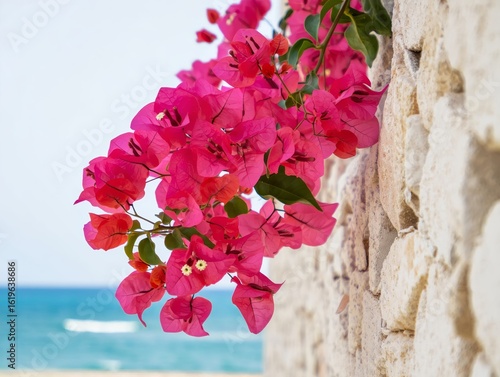 Vibrant pink bougainvillea flowers cascading down a stone wall
