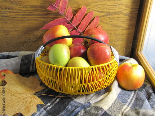 Basket of apples by the window. Autumn picture.
