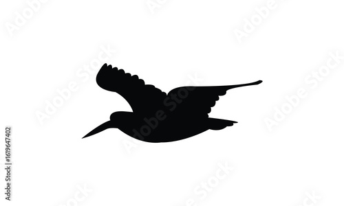 Flying American oystercatcher bird Silhouette Design  And Vector Illustration. 