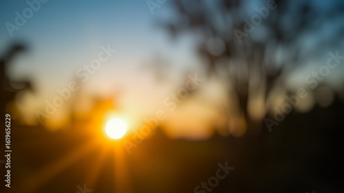 Warm golden sunset light filtering through trees creating a peaceful natural scene