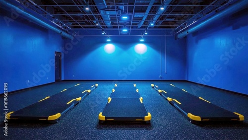 Walking pad. Vr mat Push up board Pilates princess Vibration Machine optp Grounding Therabody lifepro Eight Sleep Vergesense Blue fitness studio with black steps ready for workout tr