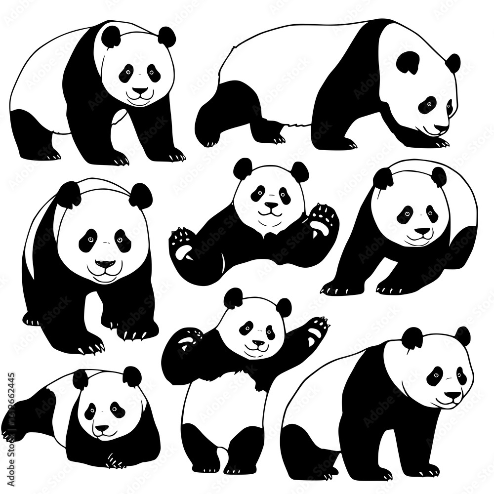 Obraz premium Cute pandas in various playful poses and styles