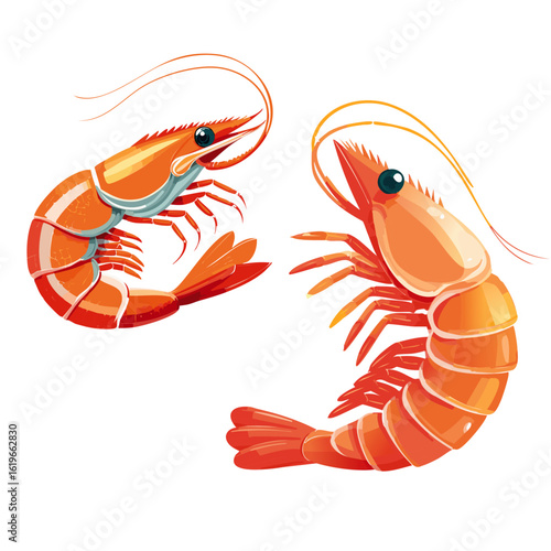 shrimp cartoon seafood isolated on white vector graphic design