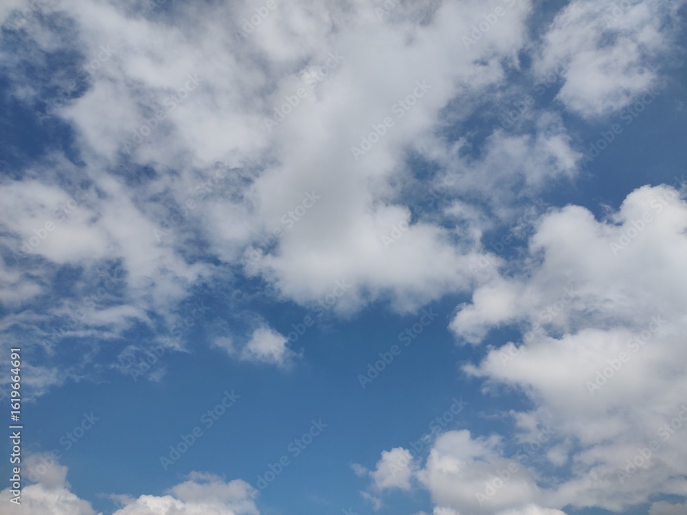 Fototapeta premium 東京のそら(25.7.31)