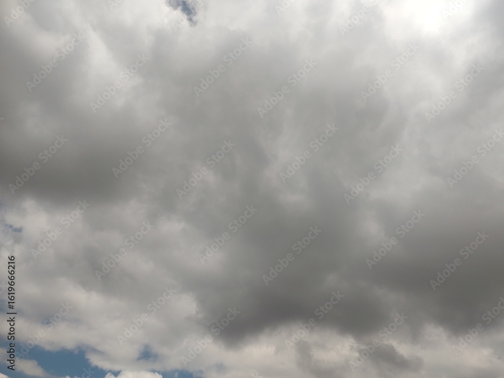 Fototapeta premium 東京のそら(25.7.31)