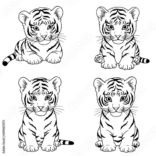 Adorable tiger cubs sit patiently, ready for adventure