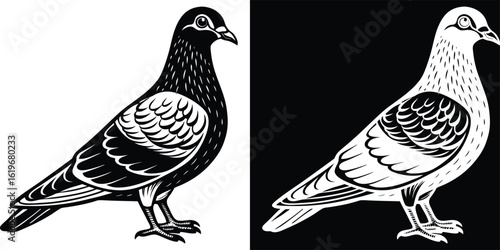 Elegant stylized pigeon illustration in black and white offers a striking graphic design element for projects