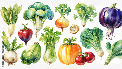Watercolor vegetables Fresh and healthy vegetables on white background. Great source of vitamin.