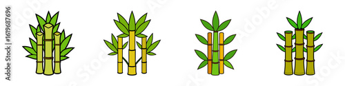 Sugarcane plant illustrations with green stalks-Set of illustrated sugarcane plants with green stalks and leaves, representing tropical agriculture, organic farming, natural sweetener, and eco-friend