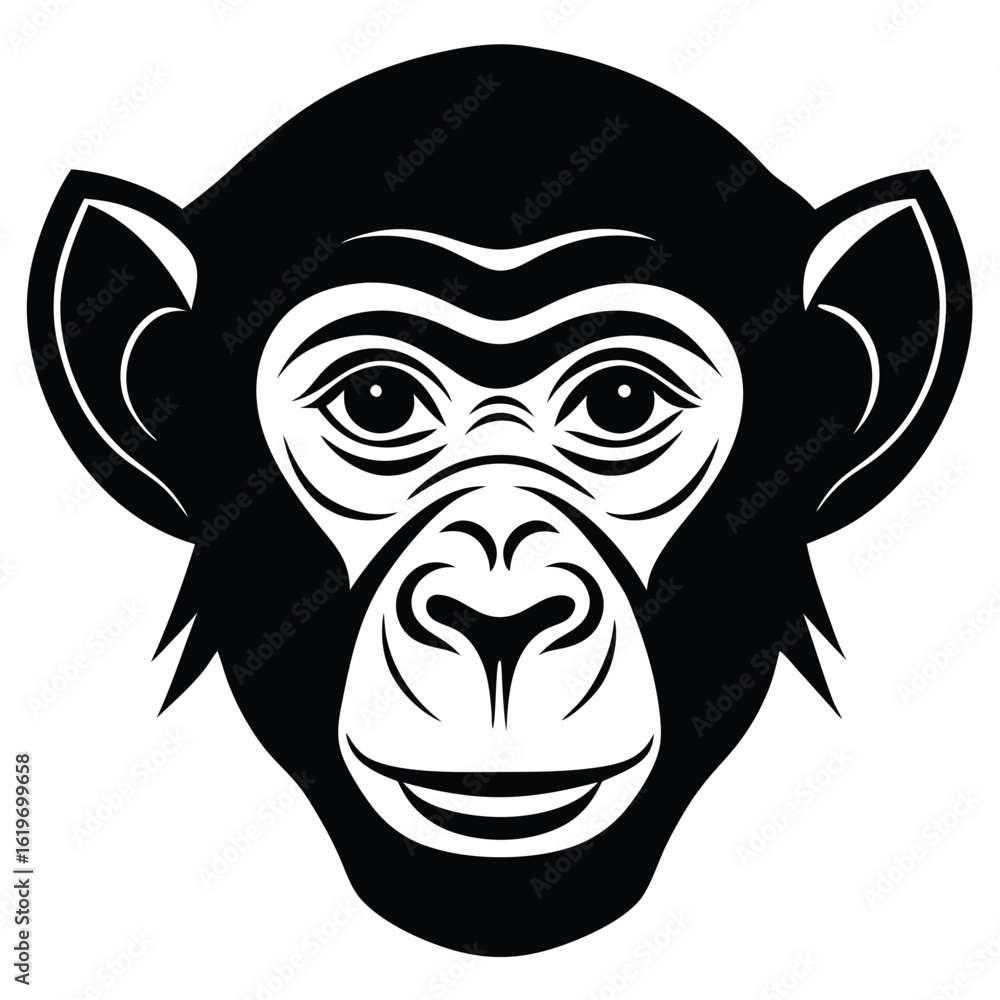 Fototapeta premium head of the monkey